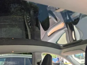 Tesla Model Y Long Range AWD DE SoH 90.2%