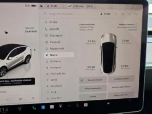 Tesla Model Y Long Range AWD DE SoH 90.2%