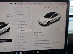 Tesla Model Y Long Range AWD DE SoH 90.2%