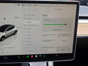 Tesla Model Y Long Range AWD DE SoH 92,4%