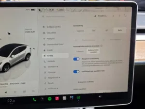 Tesla Model Y Long Range AWD DE SoH 92,4%