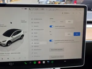 Tesla Model Y Long Range AWD DE SoH 92,4%