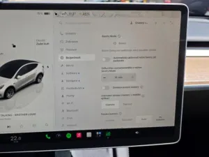 Tesla Model Y Long Range AWD DE SoH 92,4%