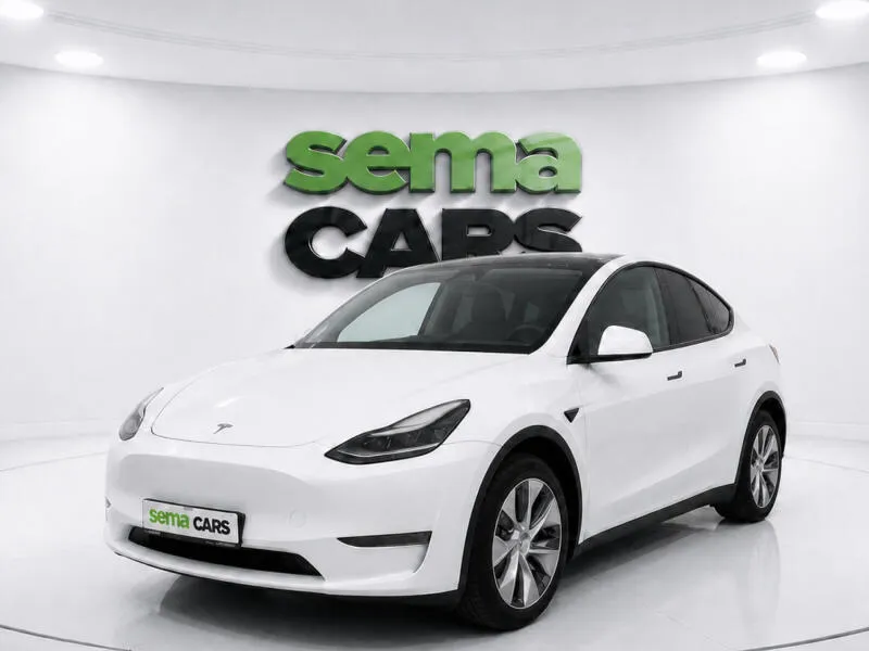 Tesla Model Y Long Range AWD DE SoH 92,4%